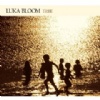 Luka Bloom - Tribe