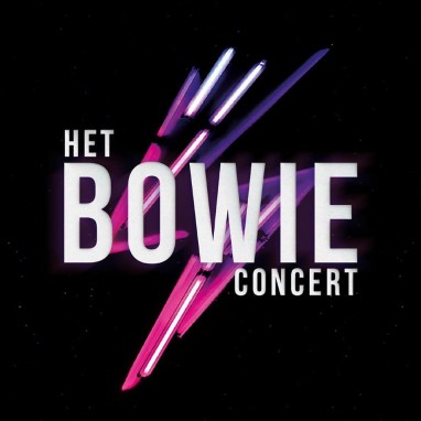 Het bowie concert
