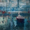 Luka Bloom Head And Heart cover