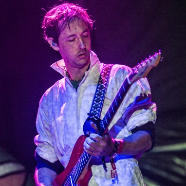 animal collective