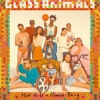 Podiuminfo recensie: Glass Animals How To Be A Human Being