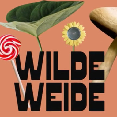 Wilde Weide