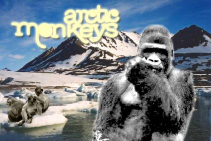 Foto's en Video's van Arctic Monkeys-actie HMH Heineken Music Hall gebruiker foto - eagles of monkey