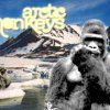Foto's en Video's van Arctic Monkeys-actie HMH Heineken Music Hall gebruiker foto