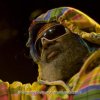 George Clinton & Parliament Funkadelic Metropool gebruiker foto