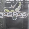 Bospop 2013 gebruiker foto