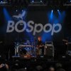 Bospop 2008 gebruiker foto