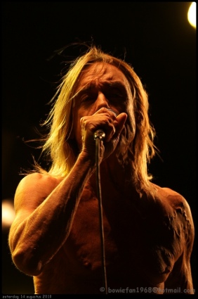 Pinkpop Classic 2010 gebruiker foto - Iggy Pop