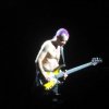 Red Hot Chili Peppers Ahoy gebruiker foto