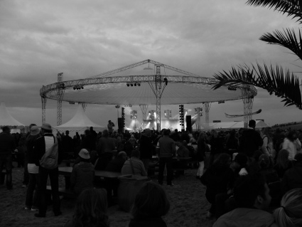 Converse Lowlands Festivalreporter actie 2011 gebruiker foto - Dan Magnusson (Seasick Steve)