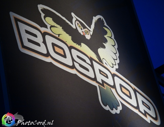 Bospop 2013 gebruiker foto - APDC0101